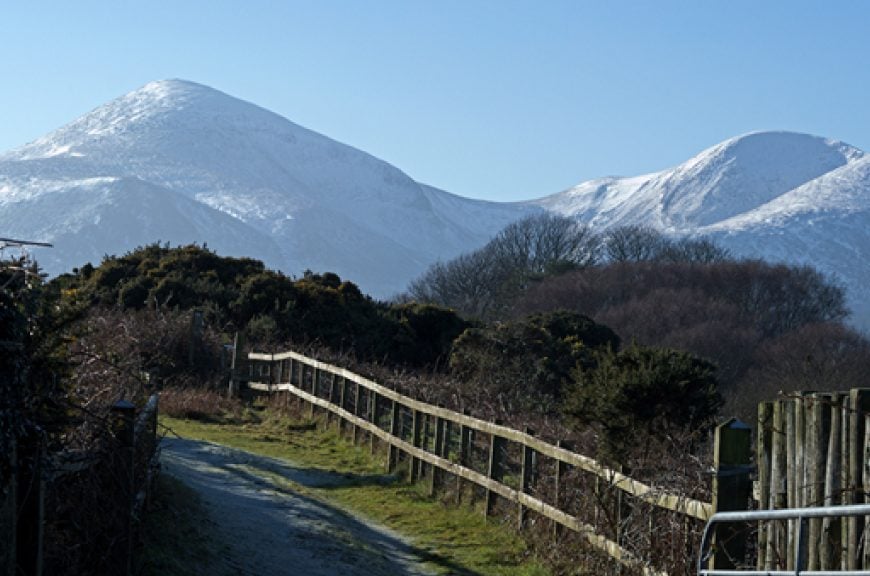 Best Mountain Bike Trails in Ireland