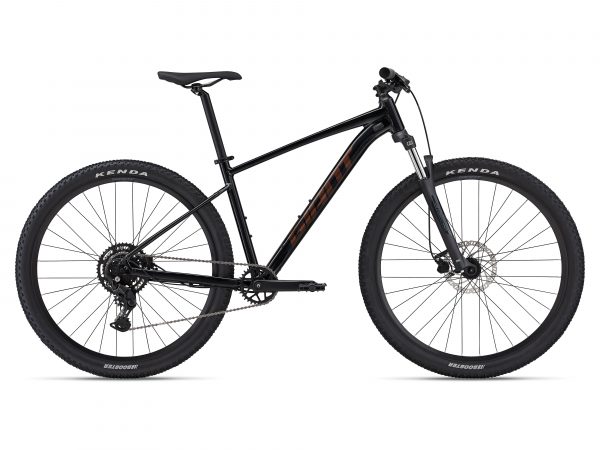Talon 2 2024 giant mountain bike