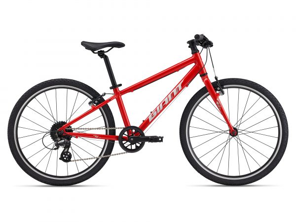 Giant ARX 24 (2025) All-Rounder bike