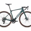 Defy Advanced E+ Elite AR (2025) | Endurance bike