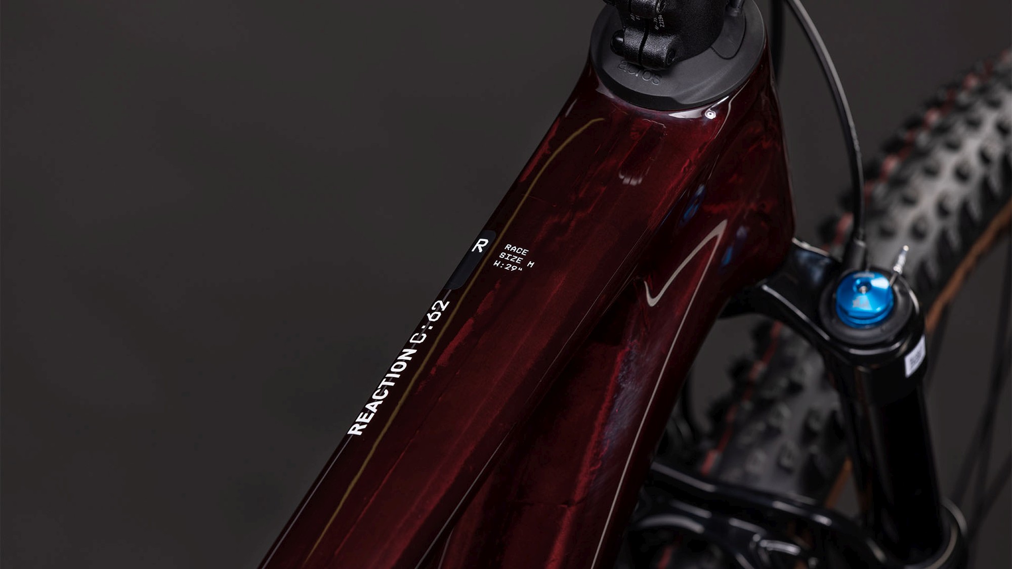 REACTION C:62 RACE LIQUIDRED/WHITE - Image 2