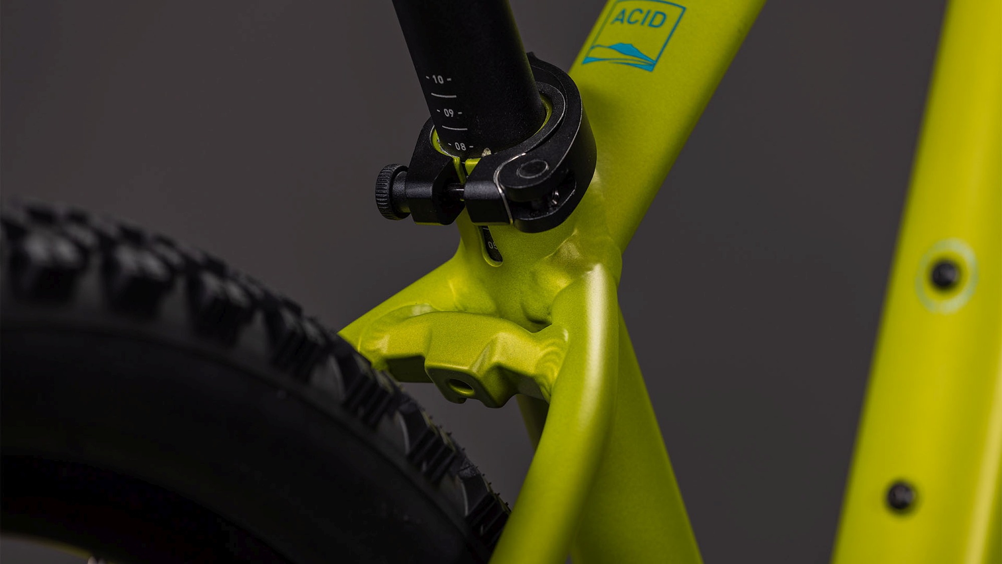 ACID 260 DISC LIZARD/BLUE - Image 4