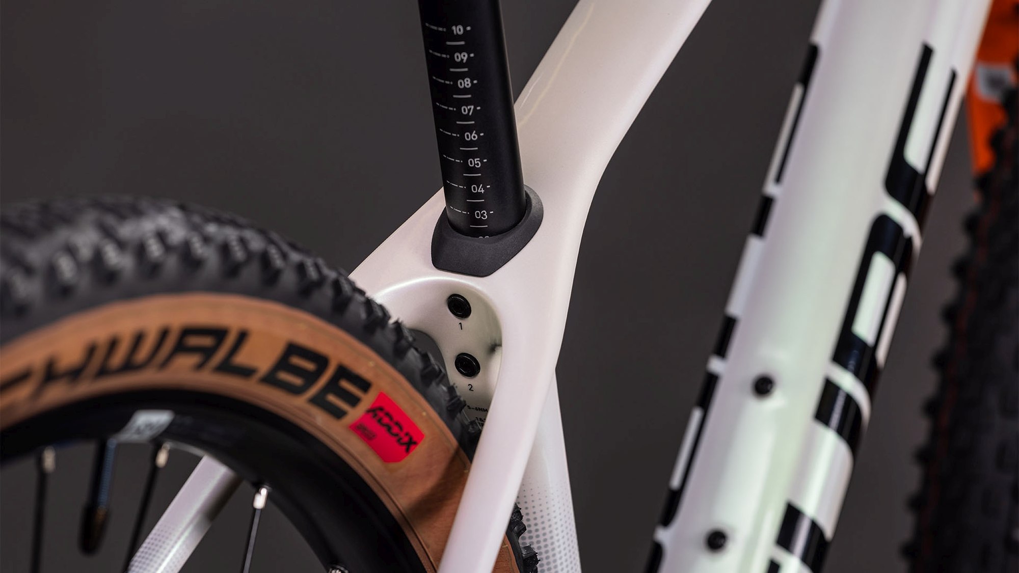 PHENIX C:62 ROOKIE SLX TEAMLINE - Image 3