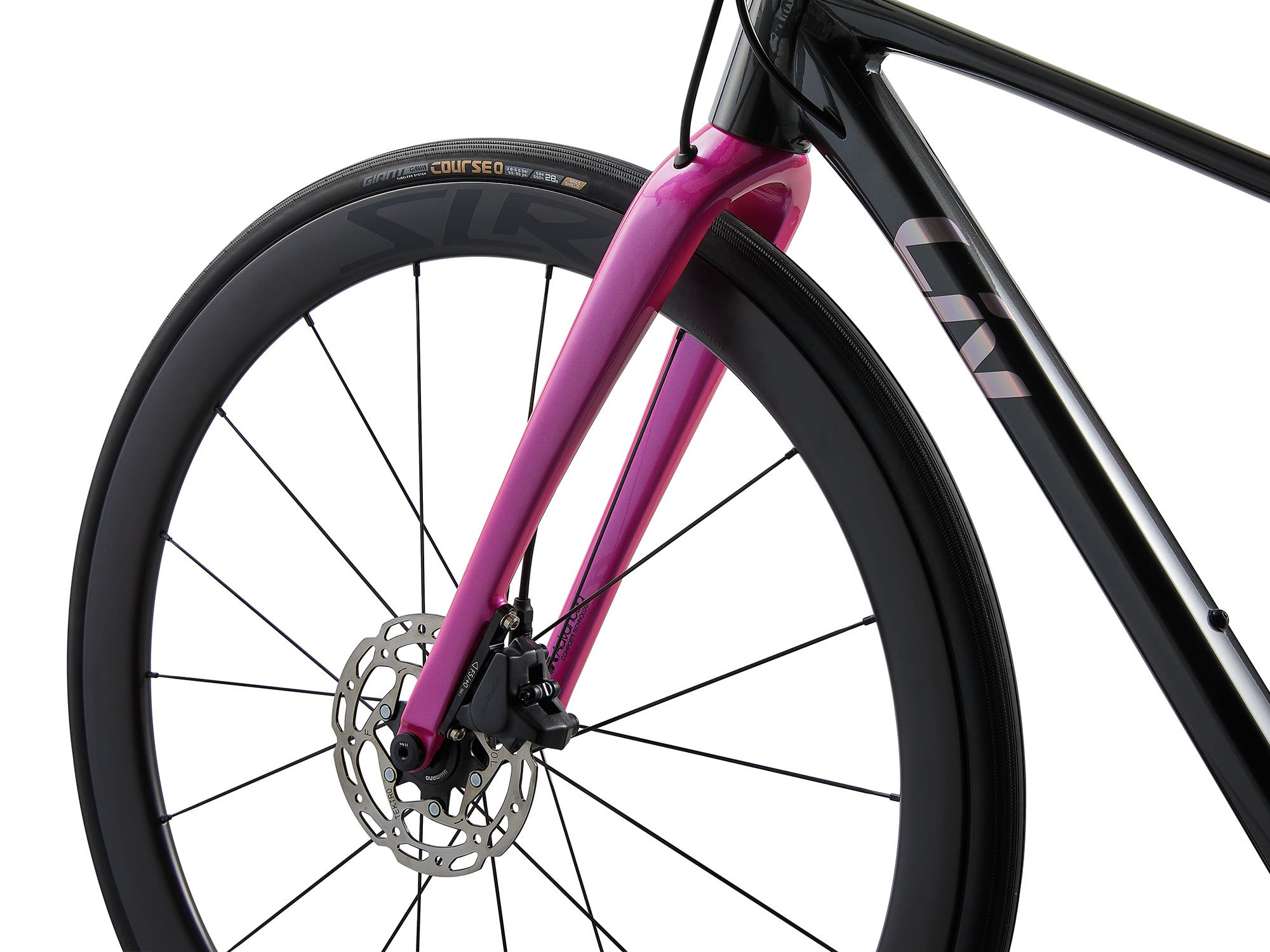 Liv Seek 1 - Image 9