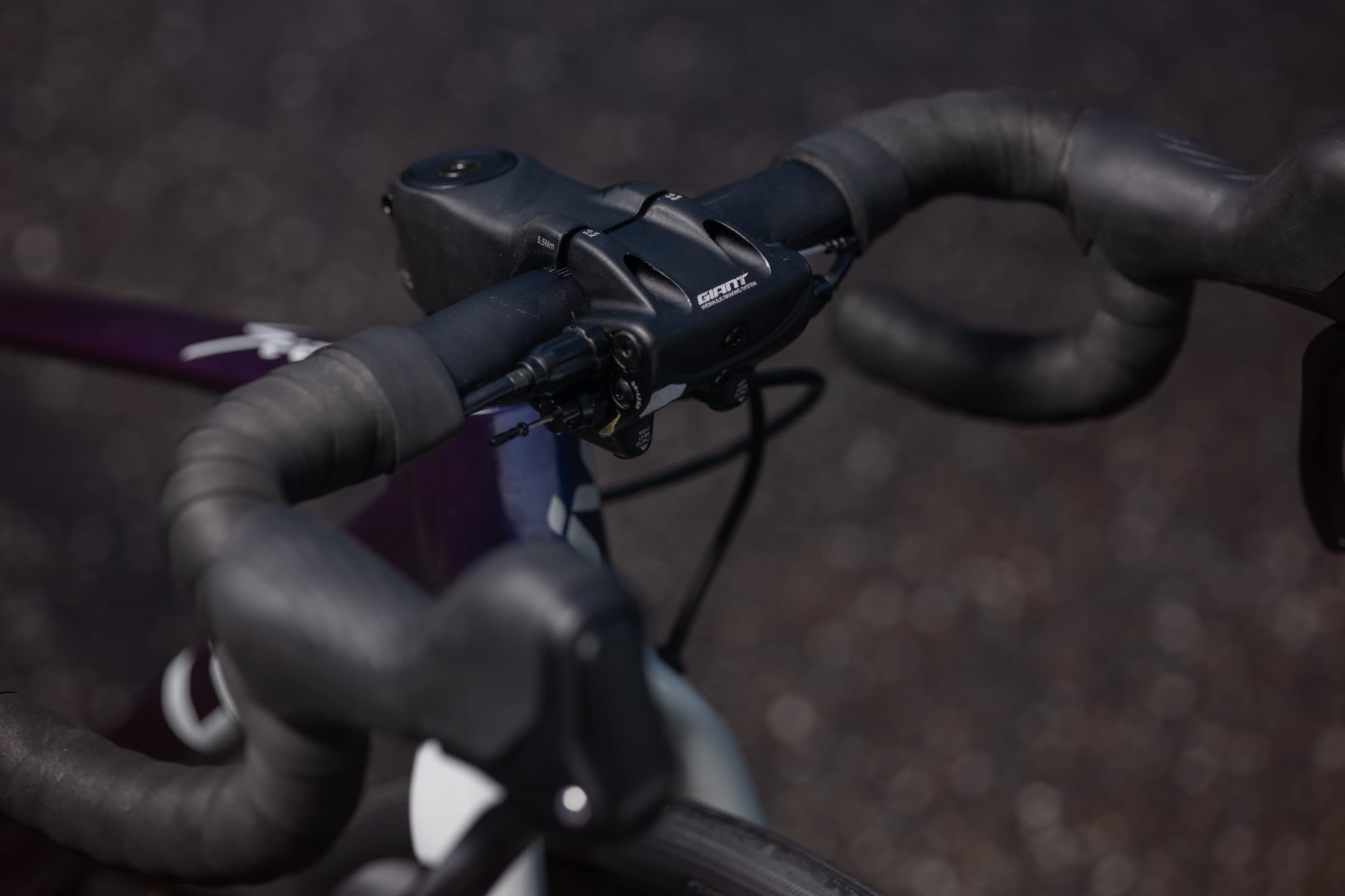 Liv Seek 2 - Image 9