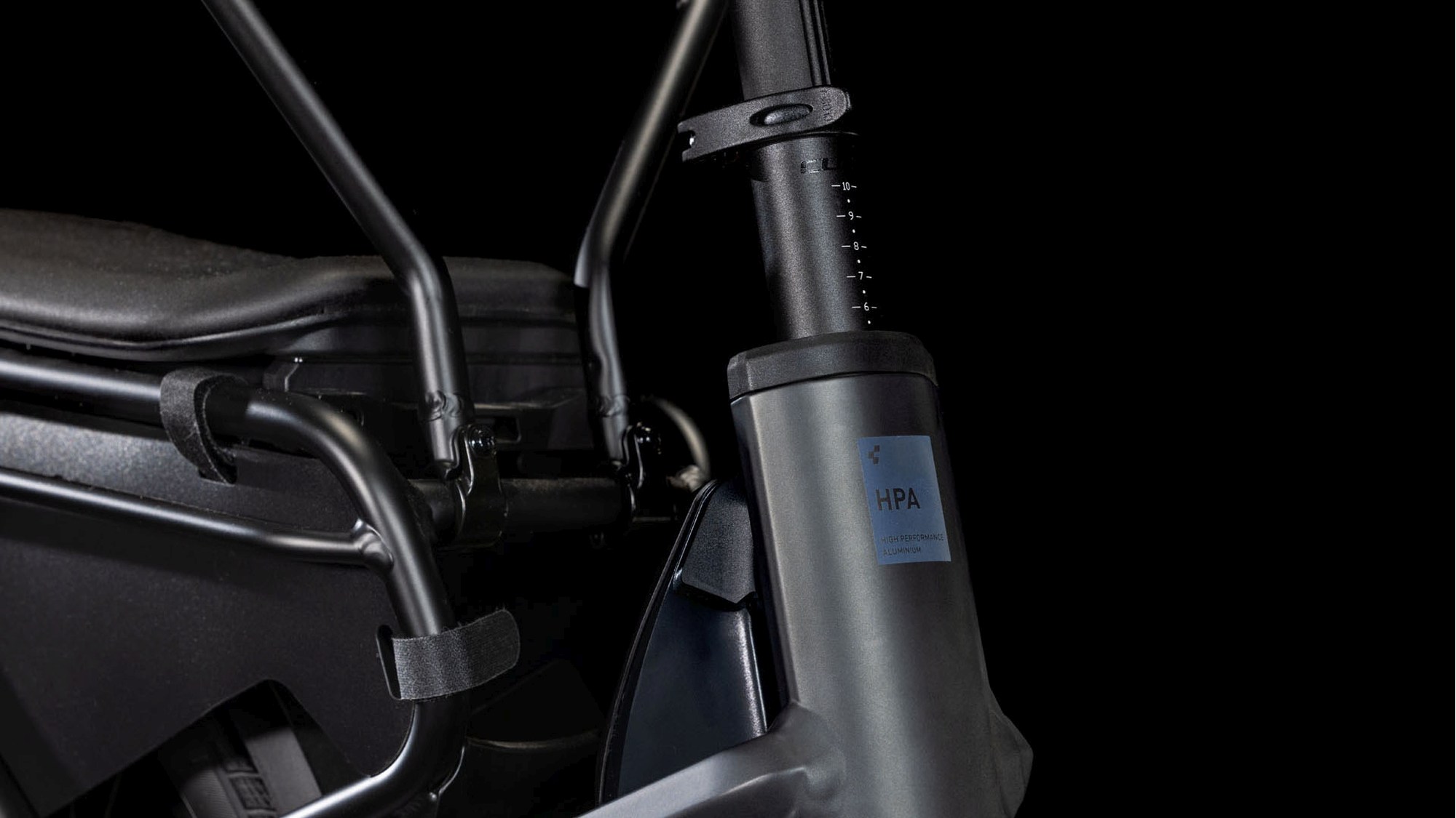 LONGTAIL HYBRID FAMILY 725 - Image 4