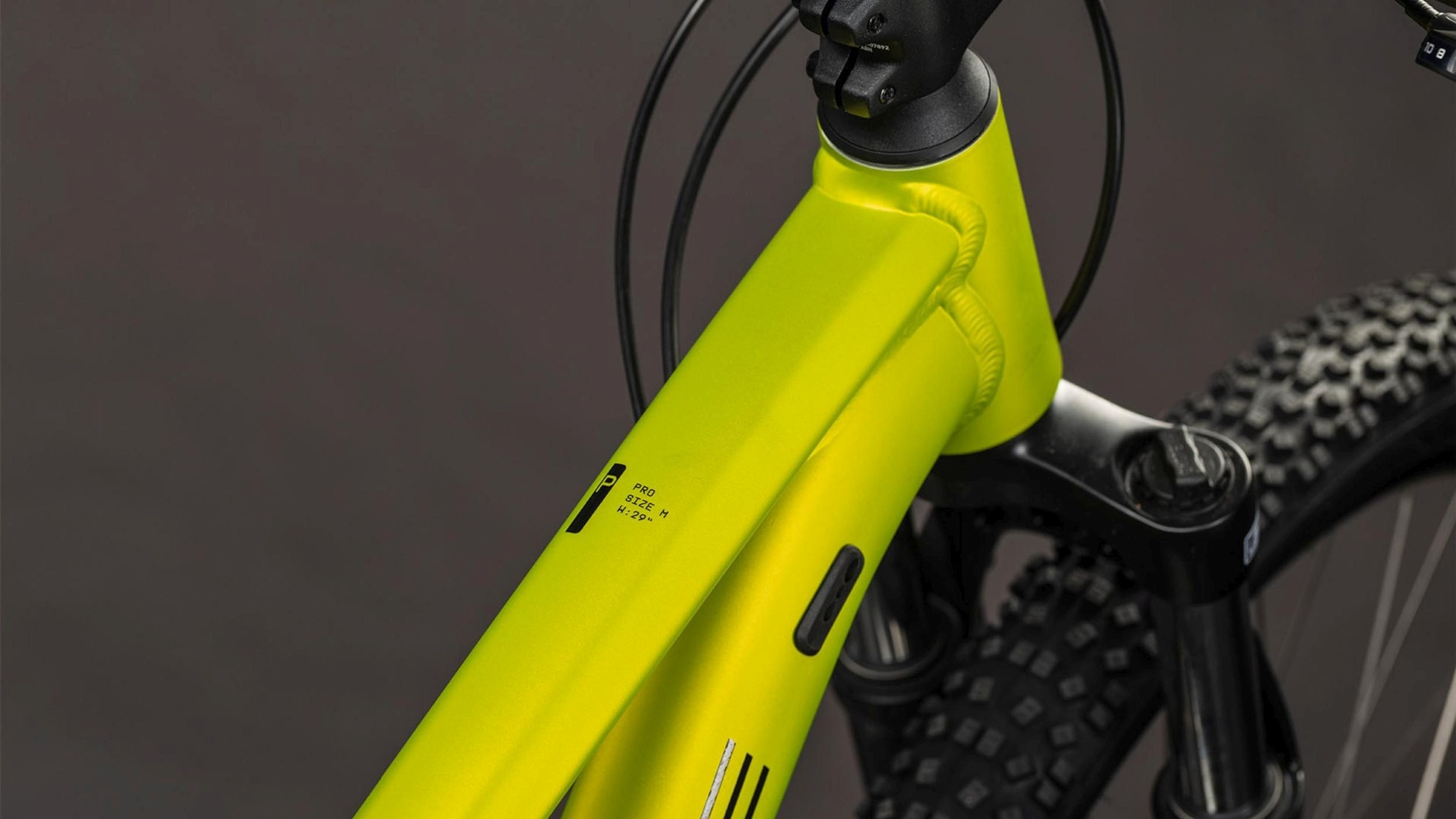 AIM PRO LIZARD/BLACK - Image 2