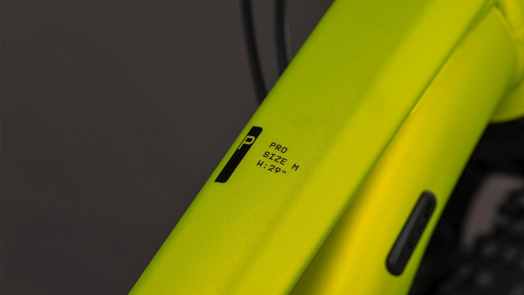 AIM PRO LIZARD/BLACK - Image 3