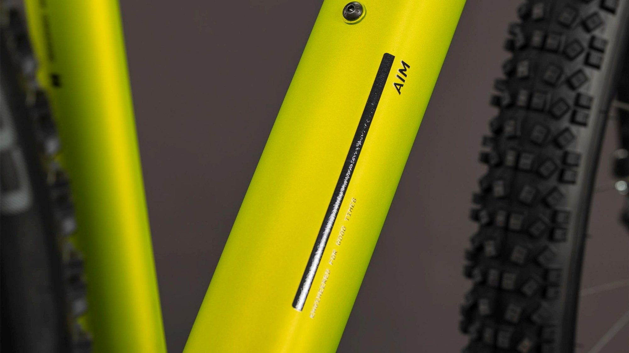 AIM PRO LIZARD/BLACK - Image 4