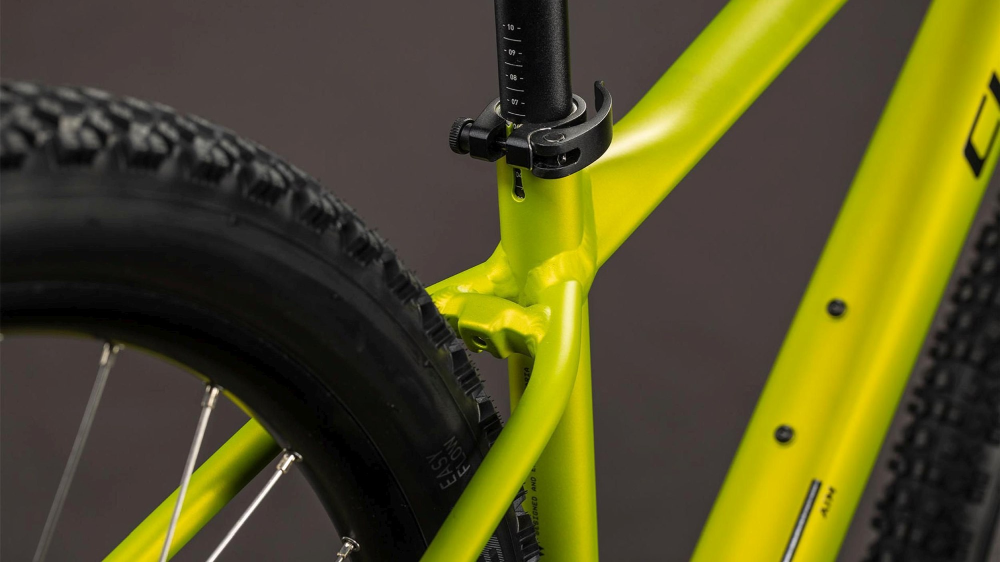 AIM PRO LIZARD/BLACK - Image 5