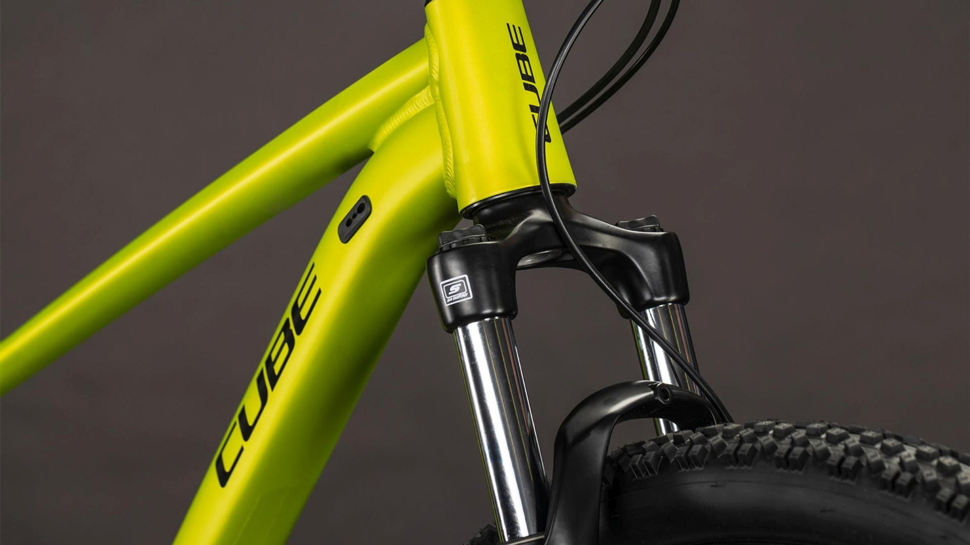 AIM PRO LIZARD/BLACK - Image 6