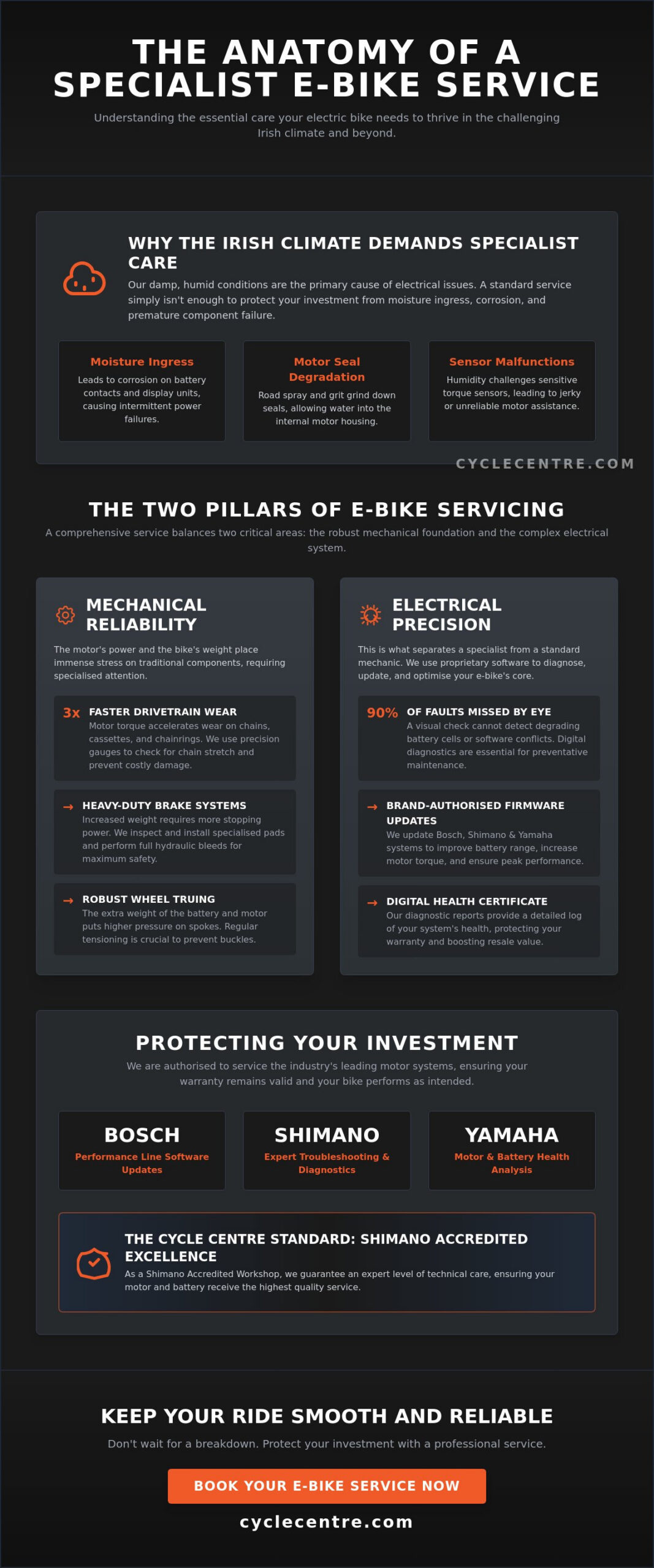 Electric Bike Maintenance and Servicing