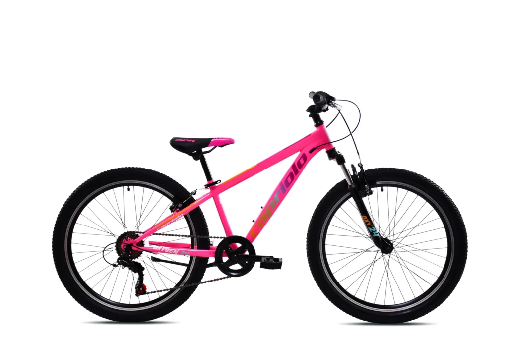 MTB OXYGEN 24"/6V pink-blue