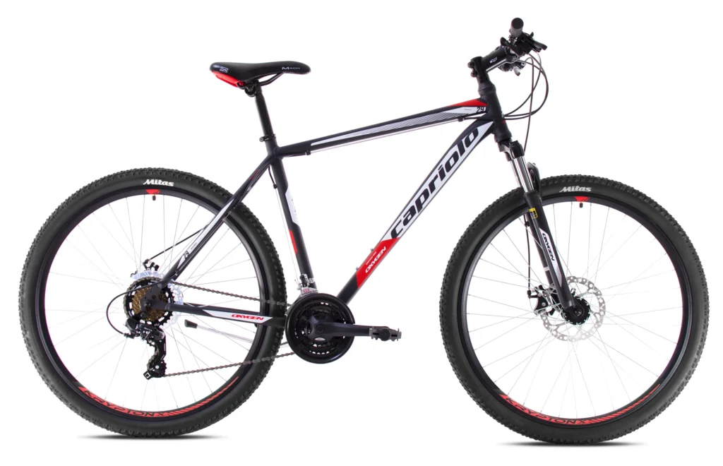 MTB OXYGEN 29"/21HT dark grey-red